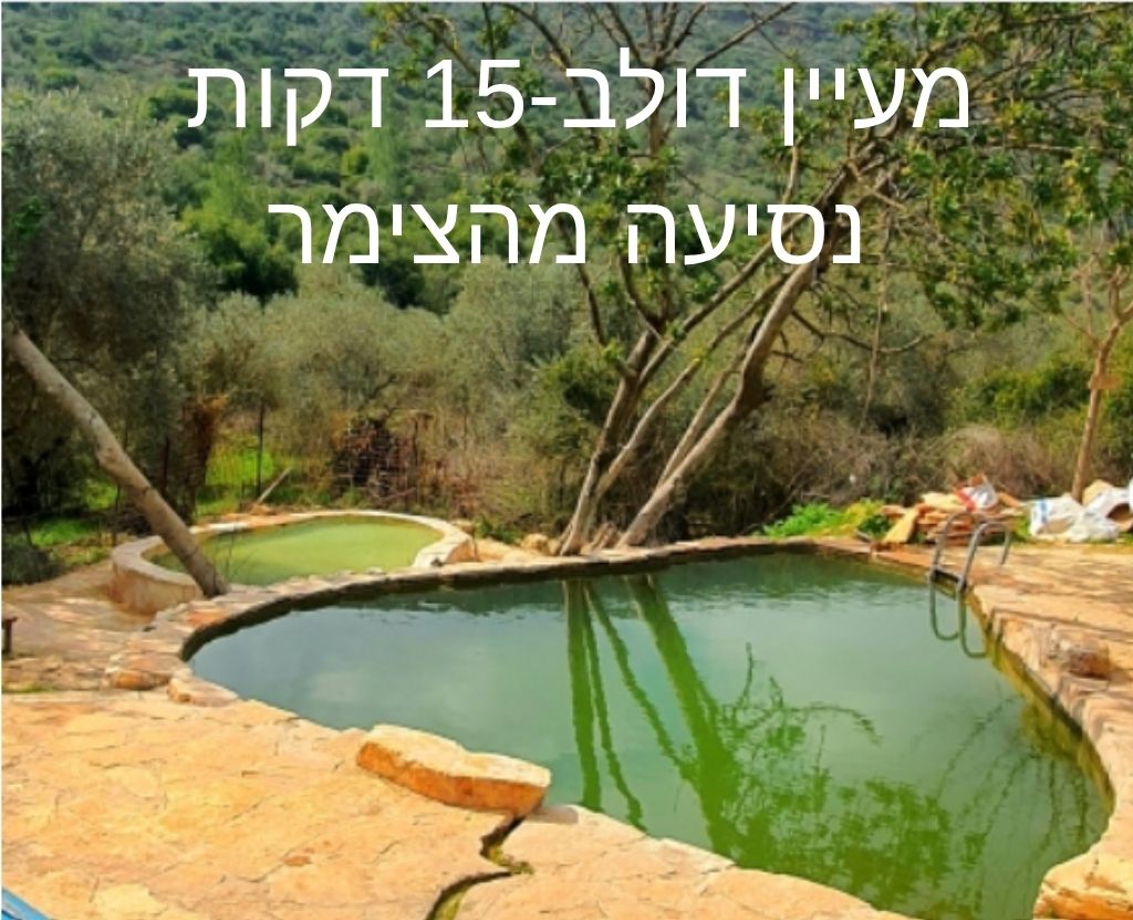 האטרקציות 4